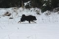 franzi-badberka (10)